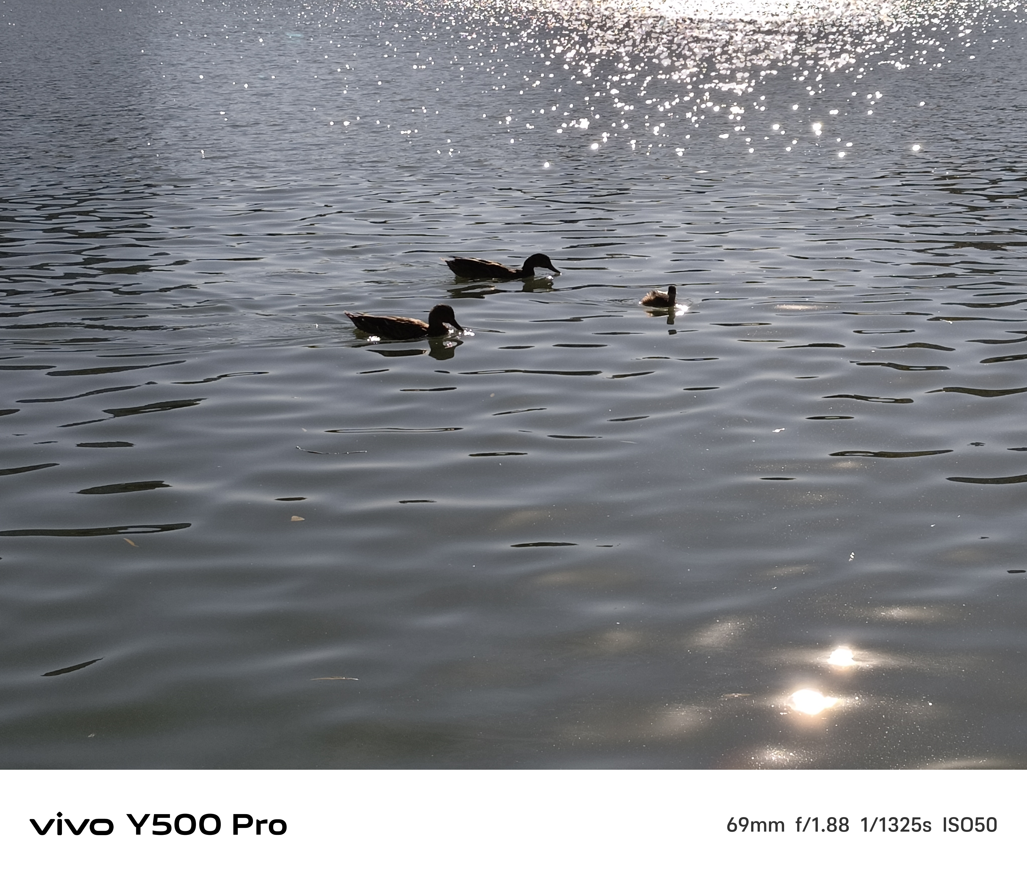 ��2�������������¶������С�콢 vivo Y500 Pro����