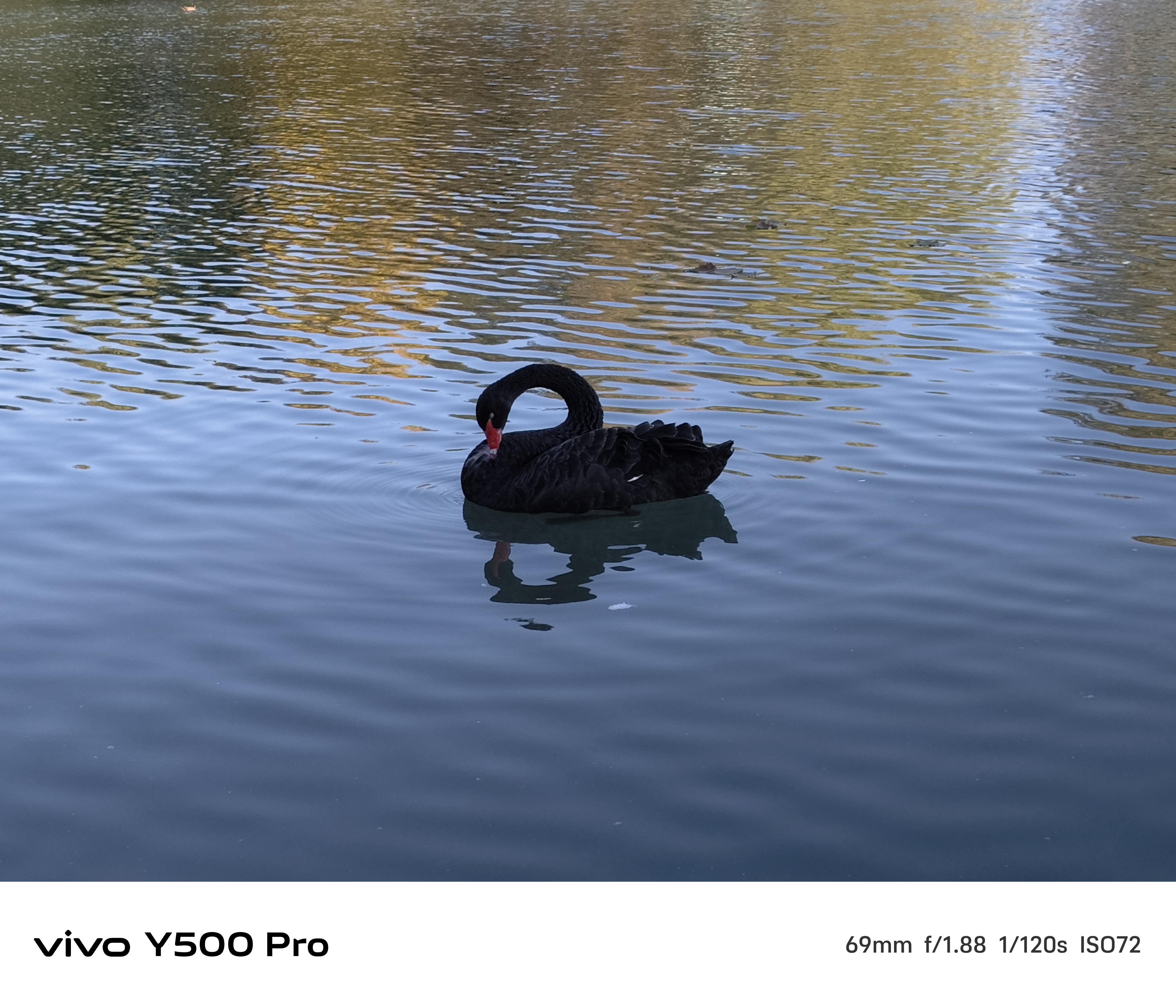 ��2�������������¶������С�콢 vivo Y500 Pro����