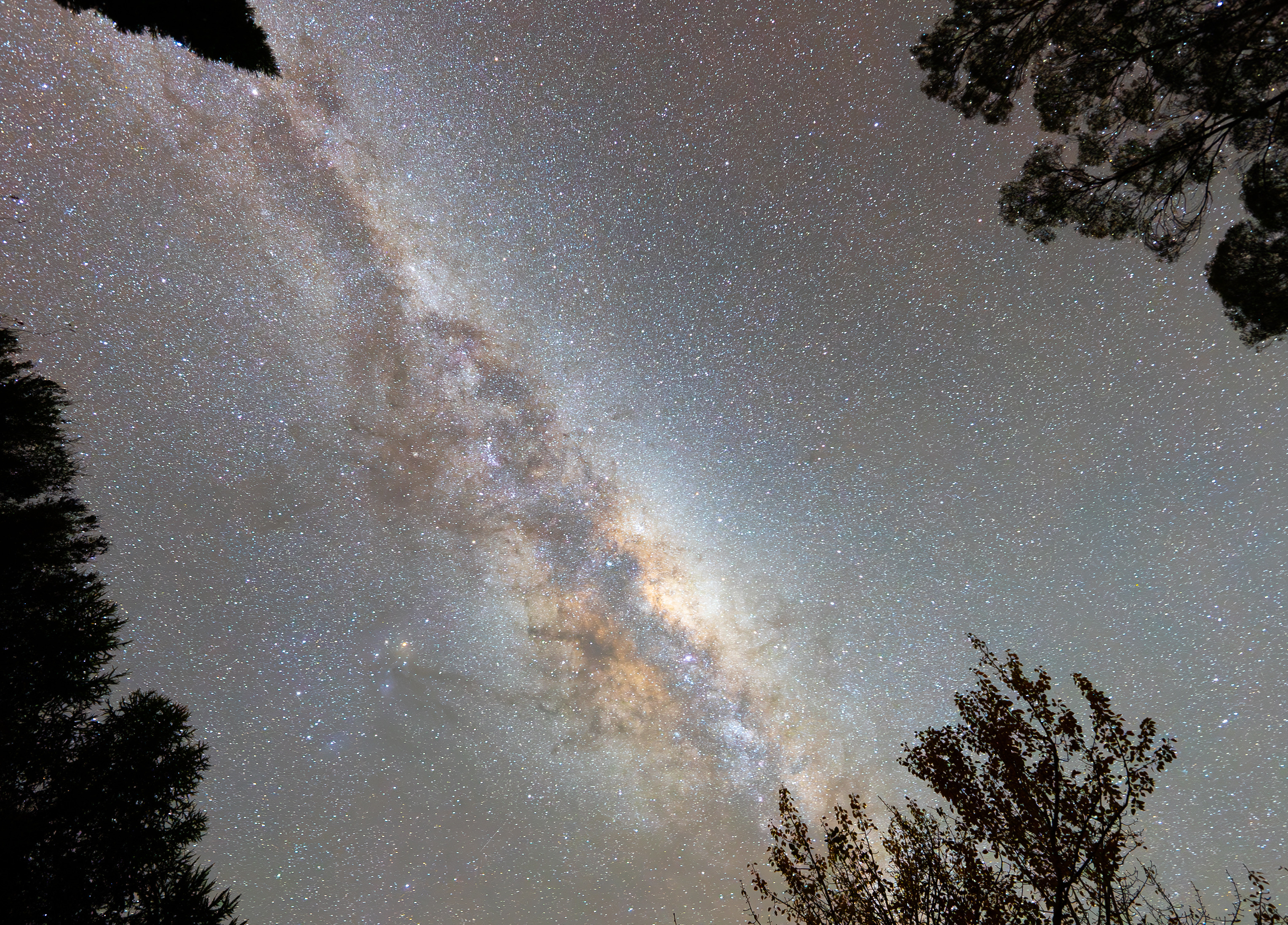 ǺFE 16mm F1.8 GǴǺ
