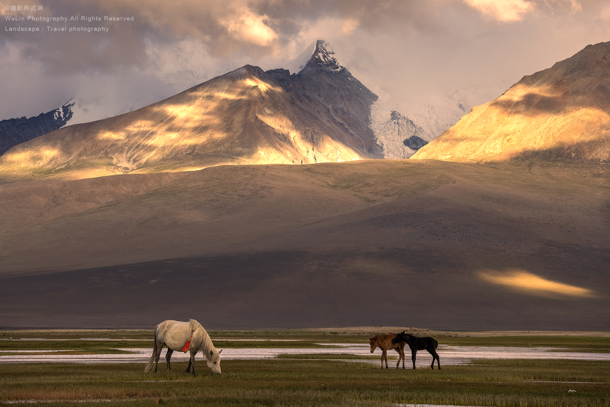 ������-���֡�EOS R5 Mark II---�����Ӱʦ��ɽ�Ӵ�������