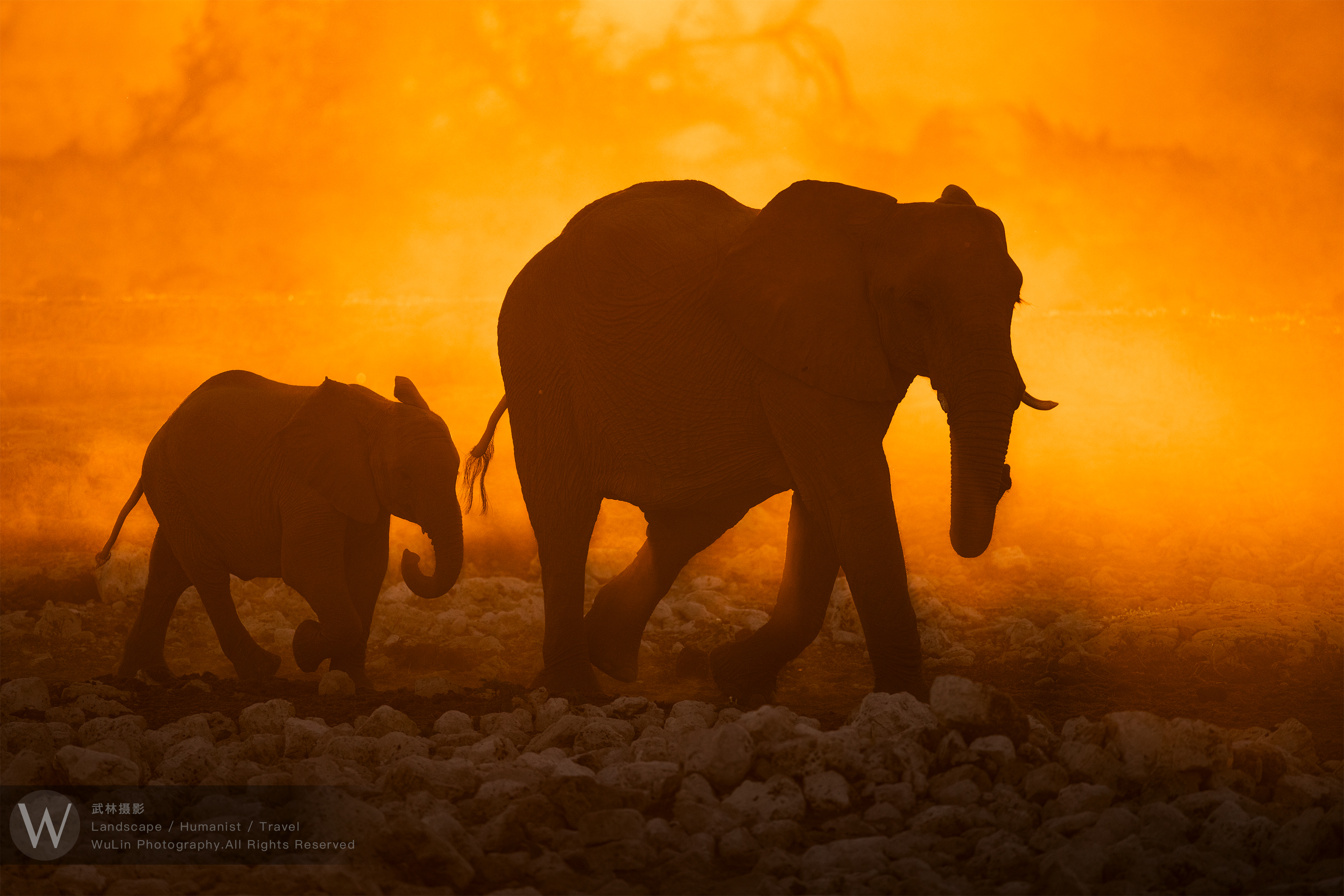 ������-���֡�EOS R5 Mark II---�����Ӱʦ��ɽ�Ӵ�������