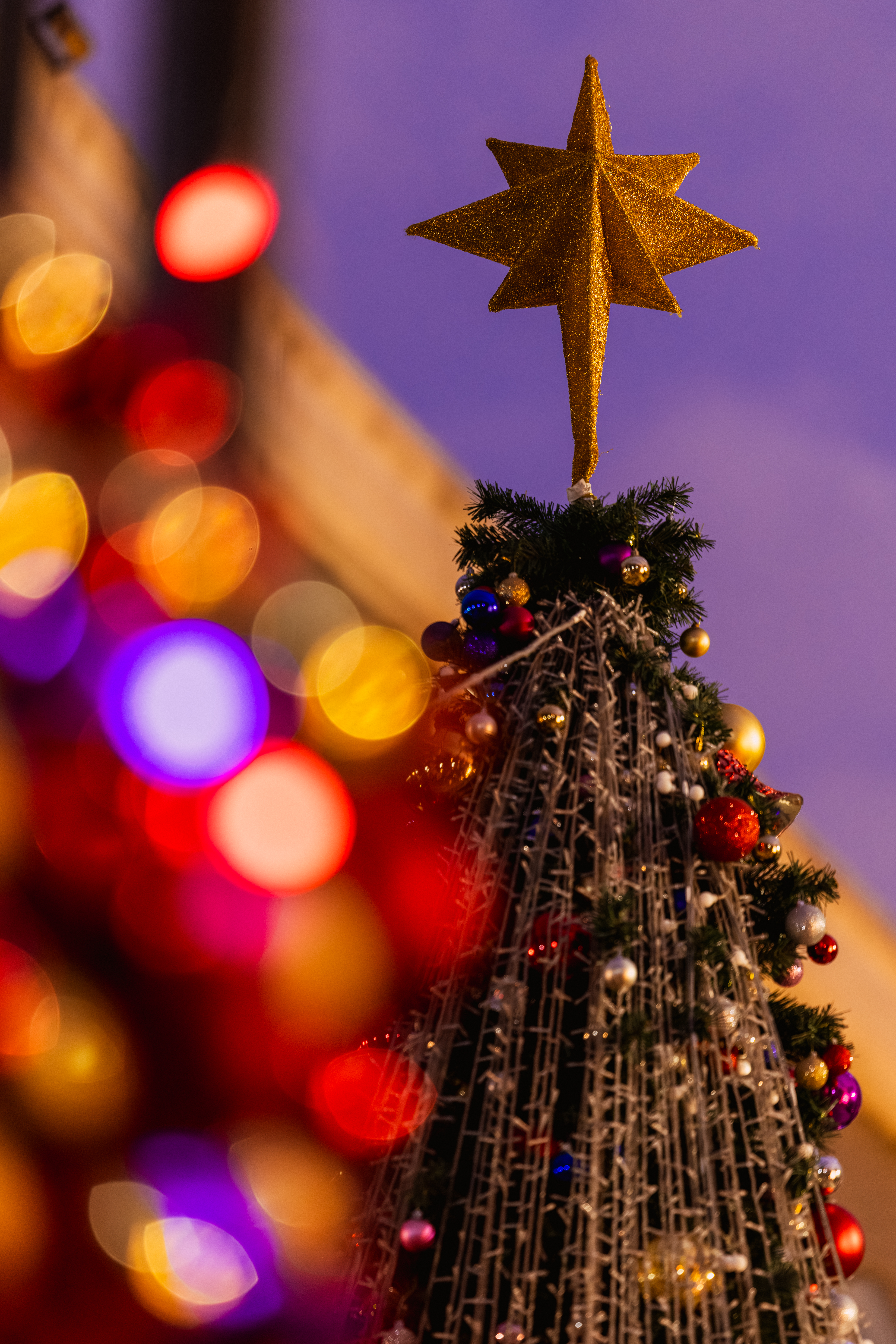 ʥ���������ü��ܻ�ԭ���շ�Χ��