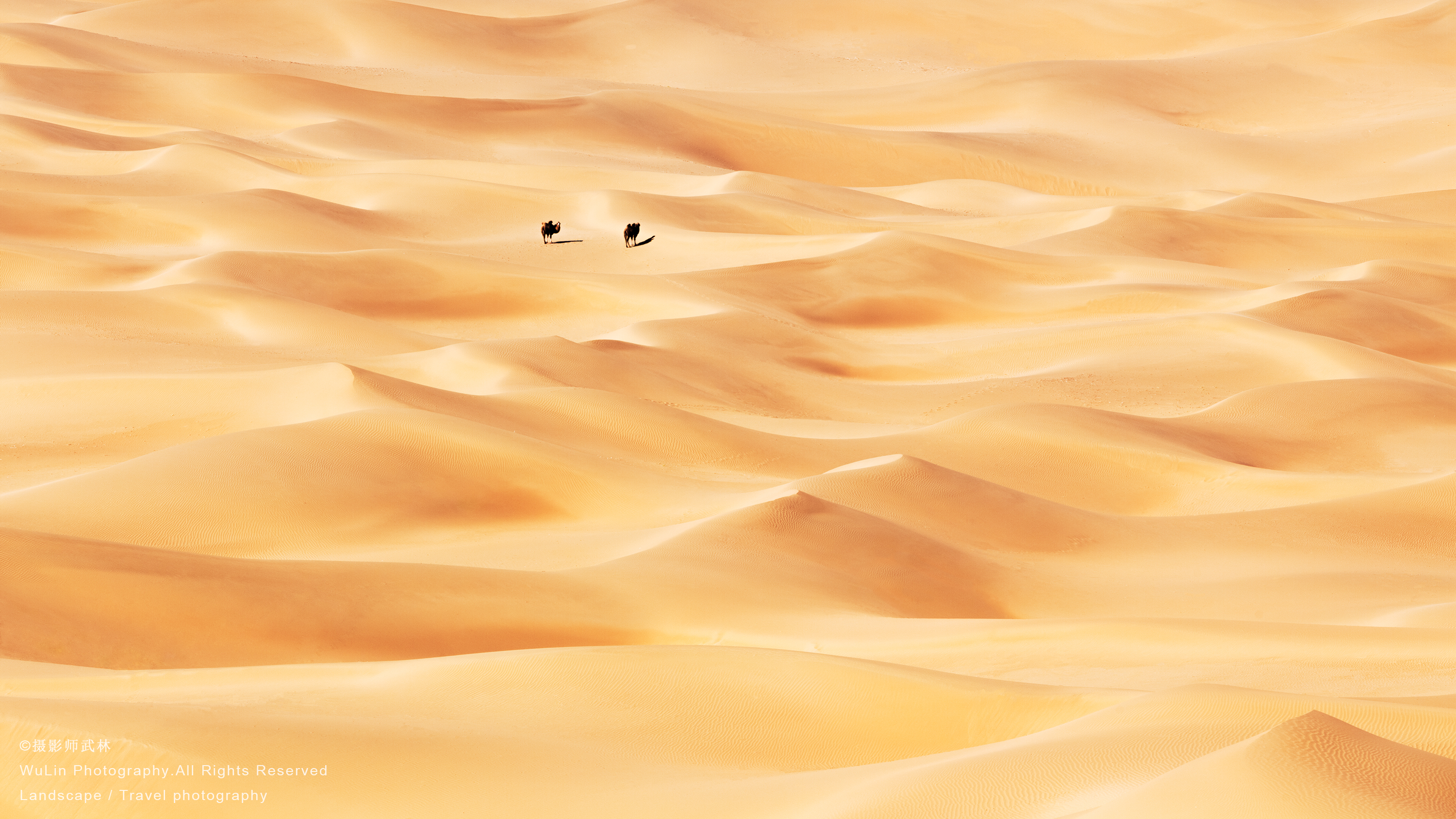 ������-���֡�EOS R5 Mark II---�����Ӱʦ��ɽ�Ӵ�������