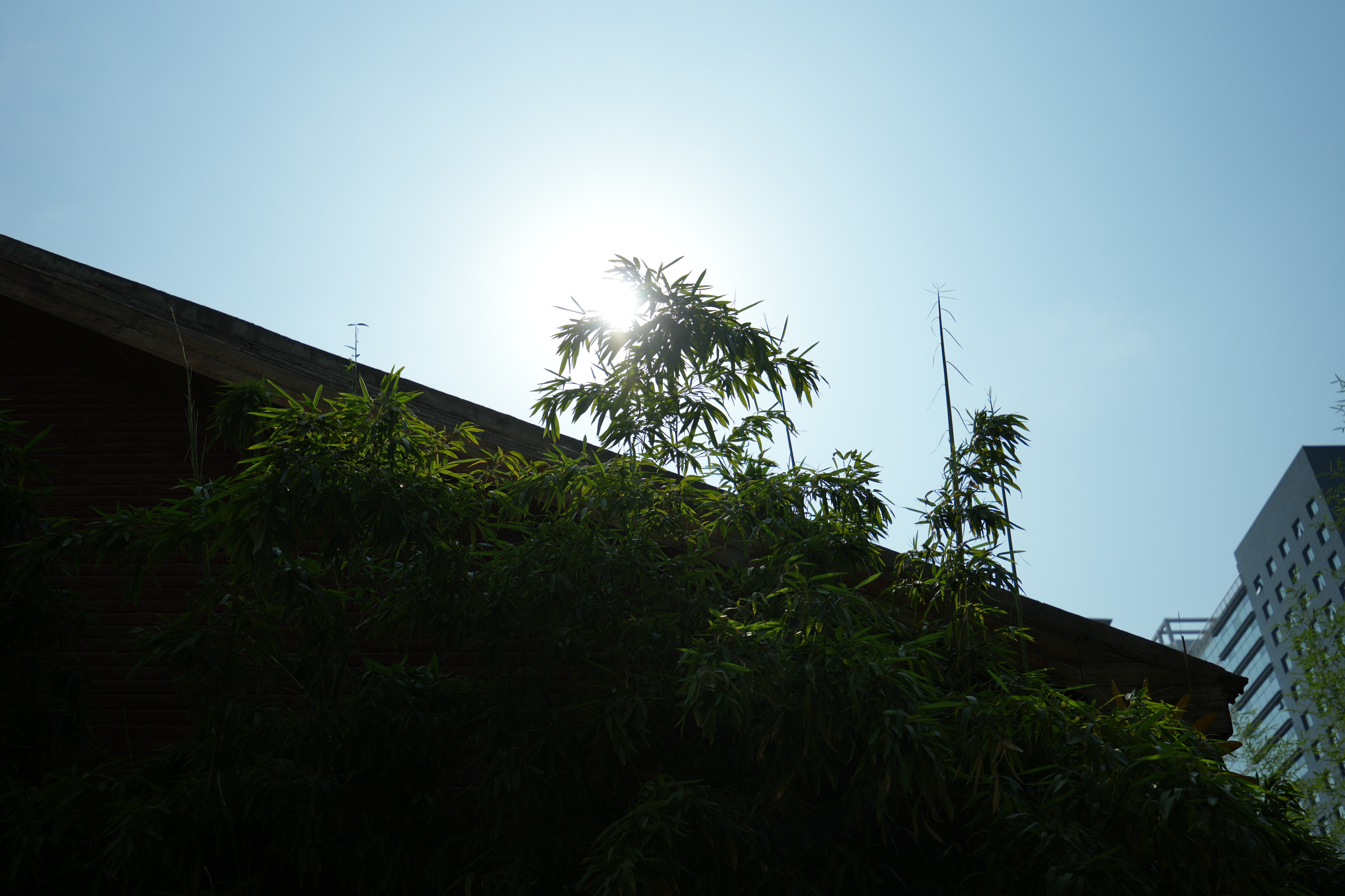 16-30mm F/2.8 Di III VXD G2