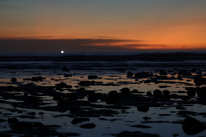 超越进化 佳能发布全画幅专微相机EOS R6 Mark III 超越进化 佳能发布全画幅专微相机EOS R6 Mark III