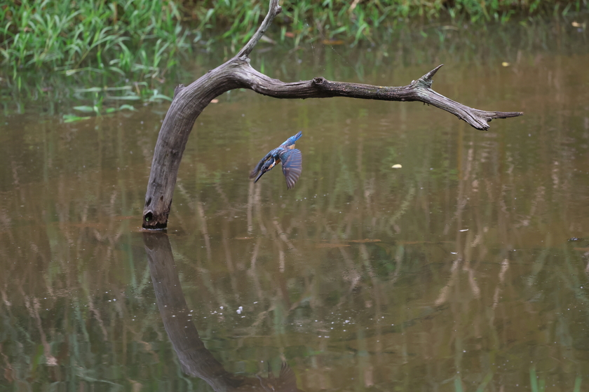 超越进化 佳能发布全画幅专微相机EOS R6 Mark III 超越进化 佳能发布全画幅专微相机EOS R6 Mark III
