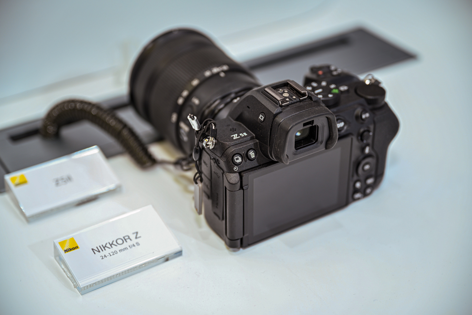 2025�����᣺�῵��ѧ������������е��῵��