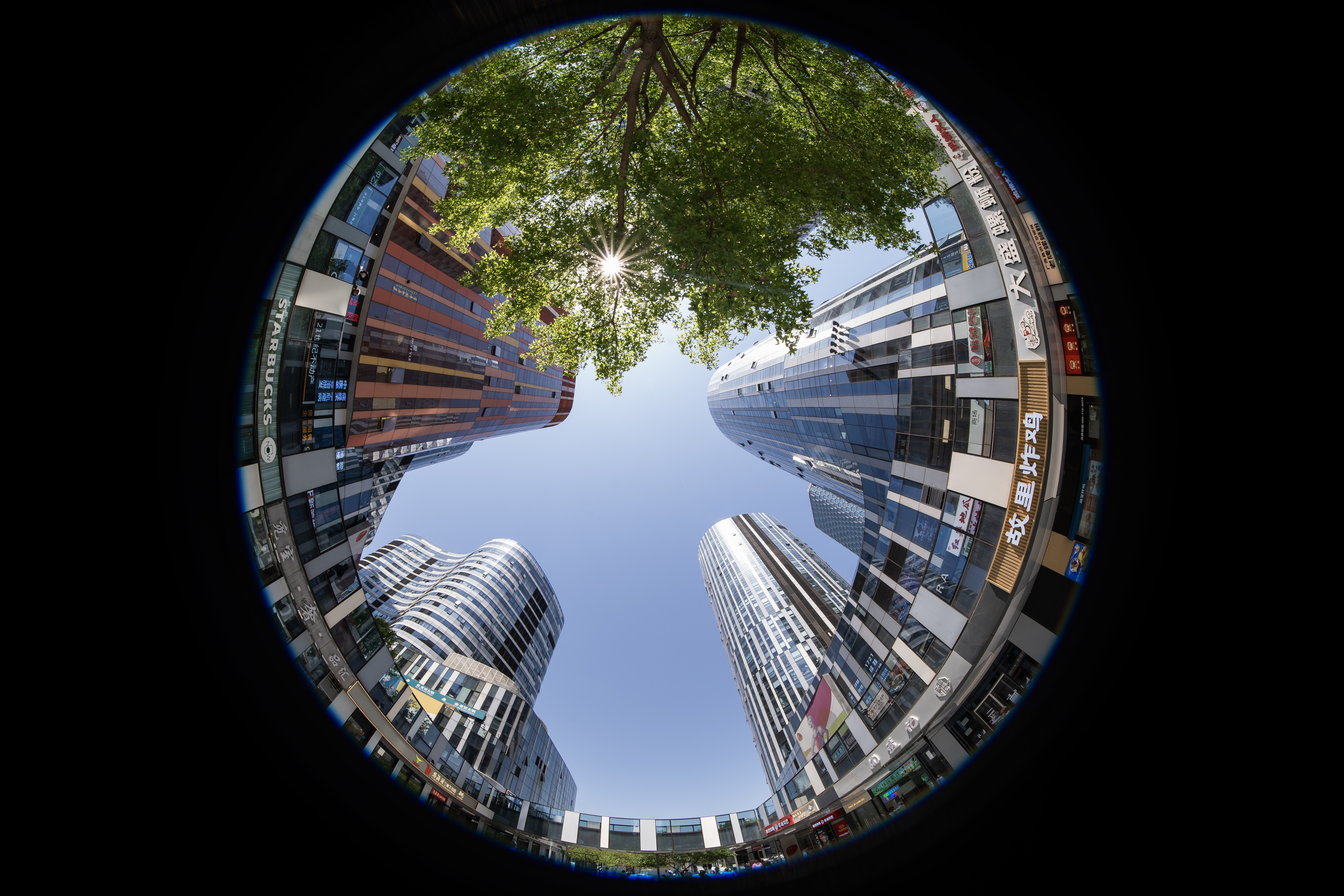 8-15mm F2.8۾ͷ ǵ֮