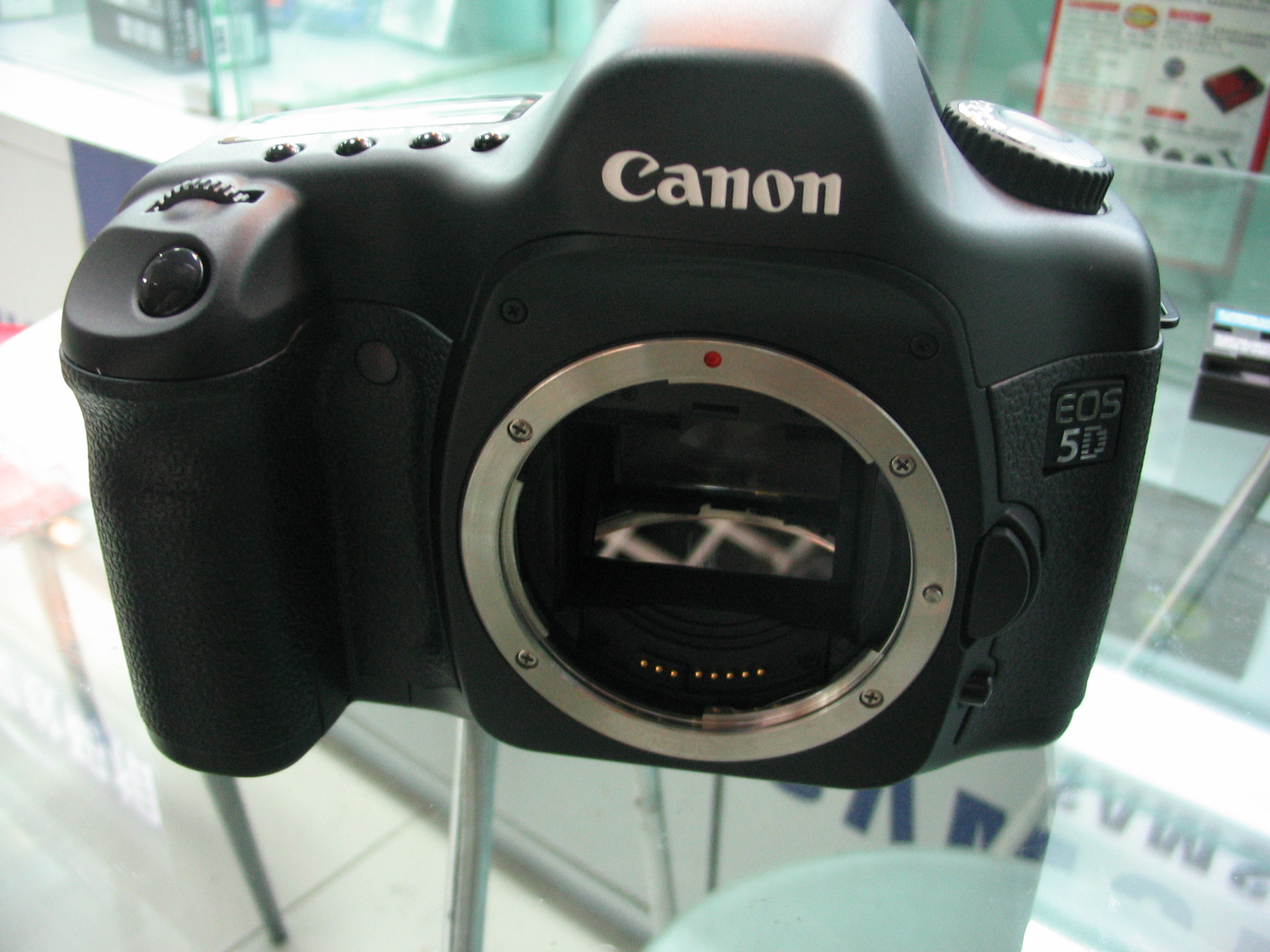 ܵǿ EOS-5DӺȦͷ 