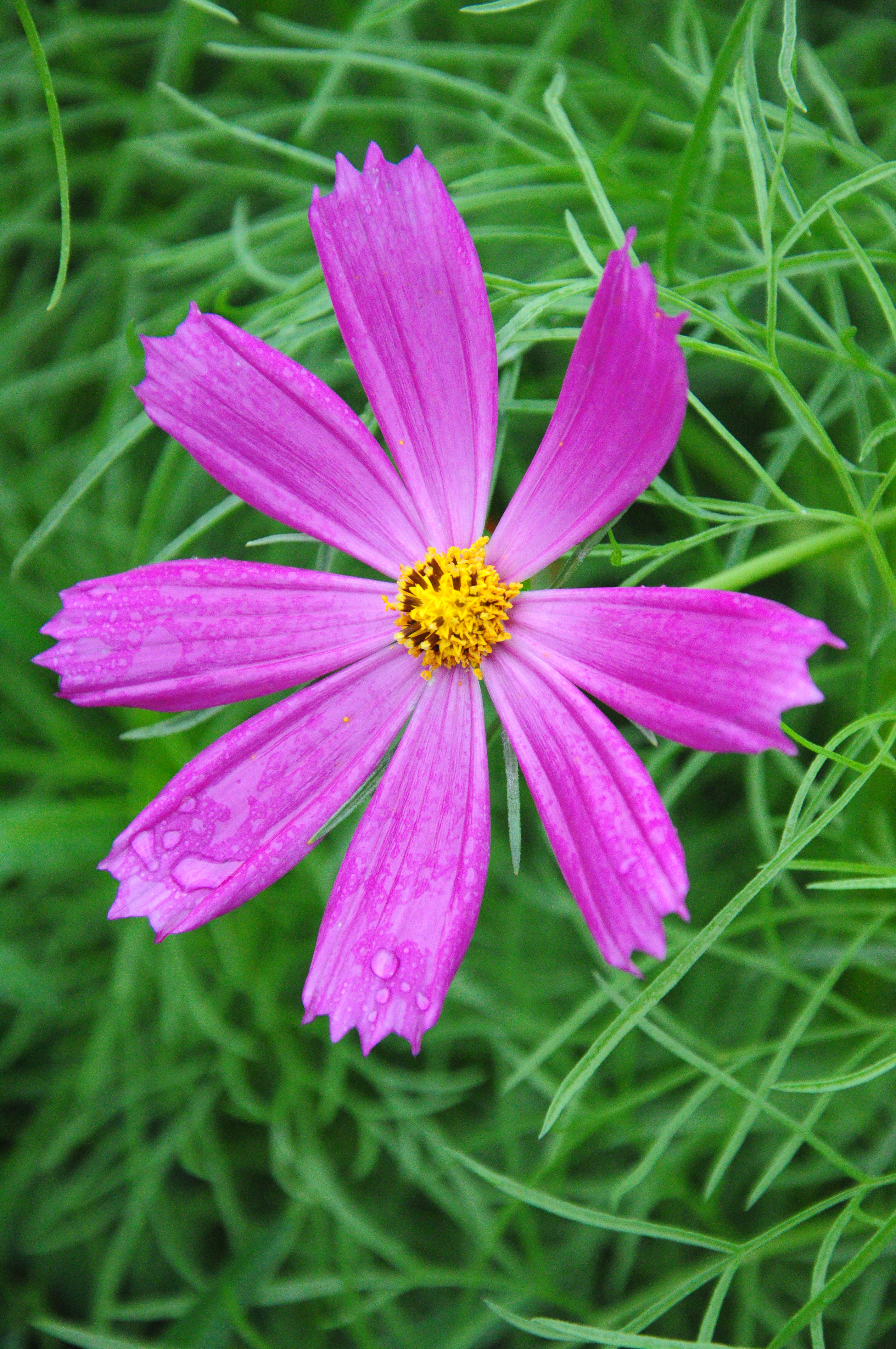 ˶ ῵D90Ʒ֮ǹٷ