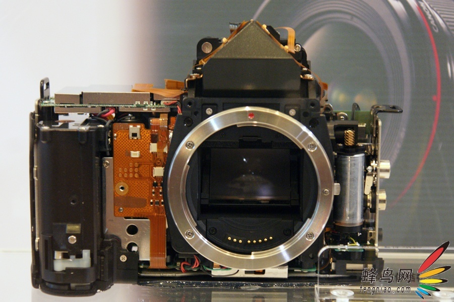 ܽӴ EOS5D Mark II
