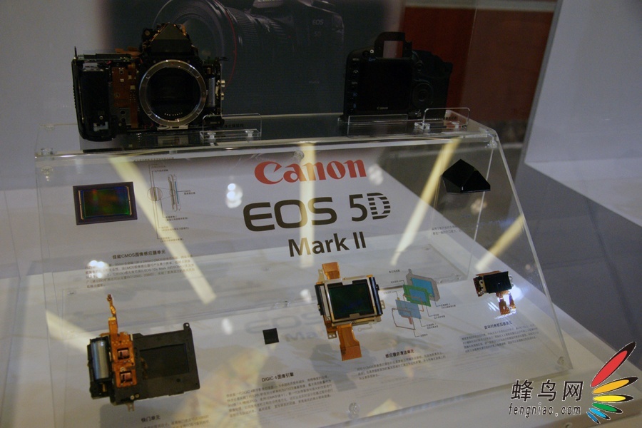 ܽӴ EOS5D Mark II