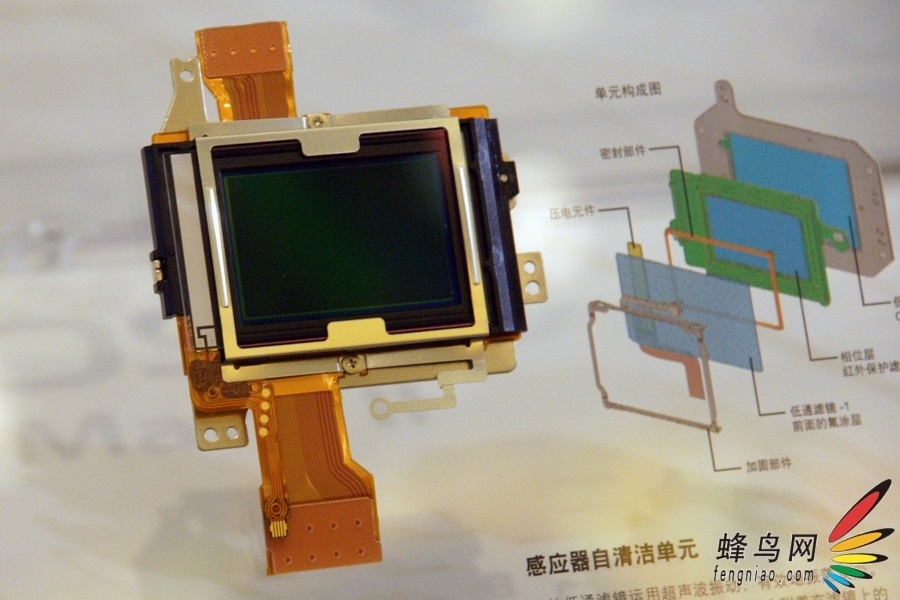 ܽӴ EOS5D Mark II