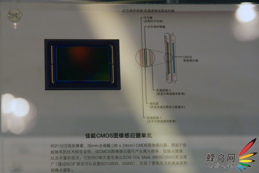 ܽӴ EOS5D Mark II