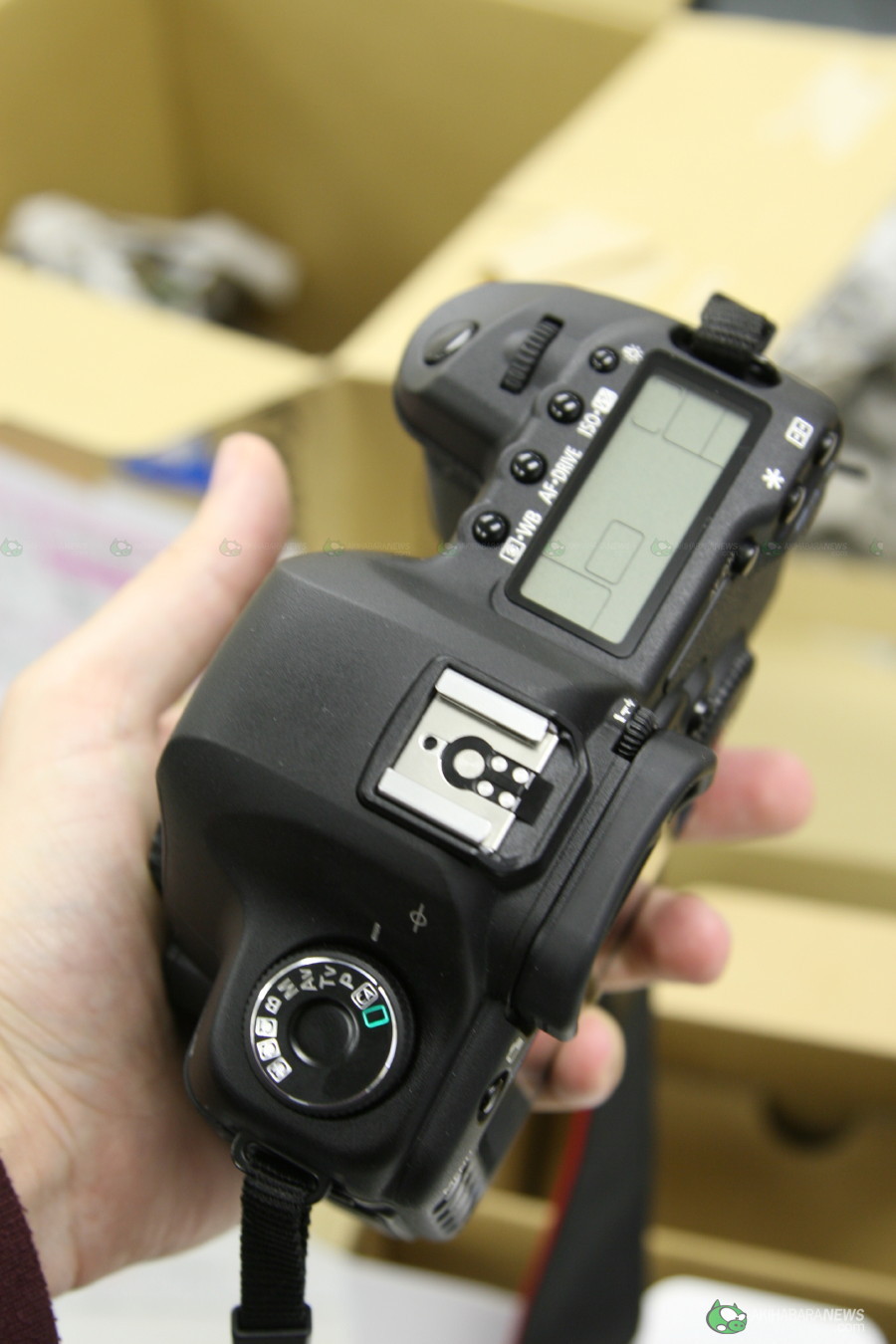  EOS5D Mark IIƬ