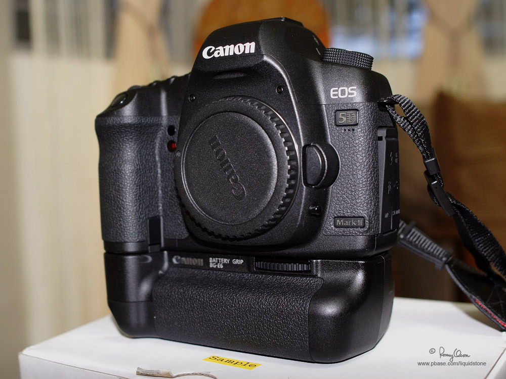 Ȼ ļEOS5D Mark II