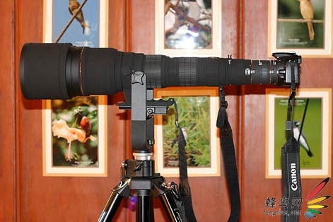 ൱ ῵°300-800mmͷ