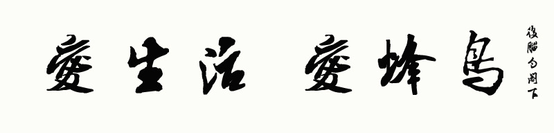 ͬط08-09--Ѽ㼯ͼƬ棩 