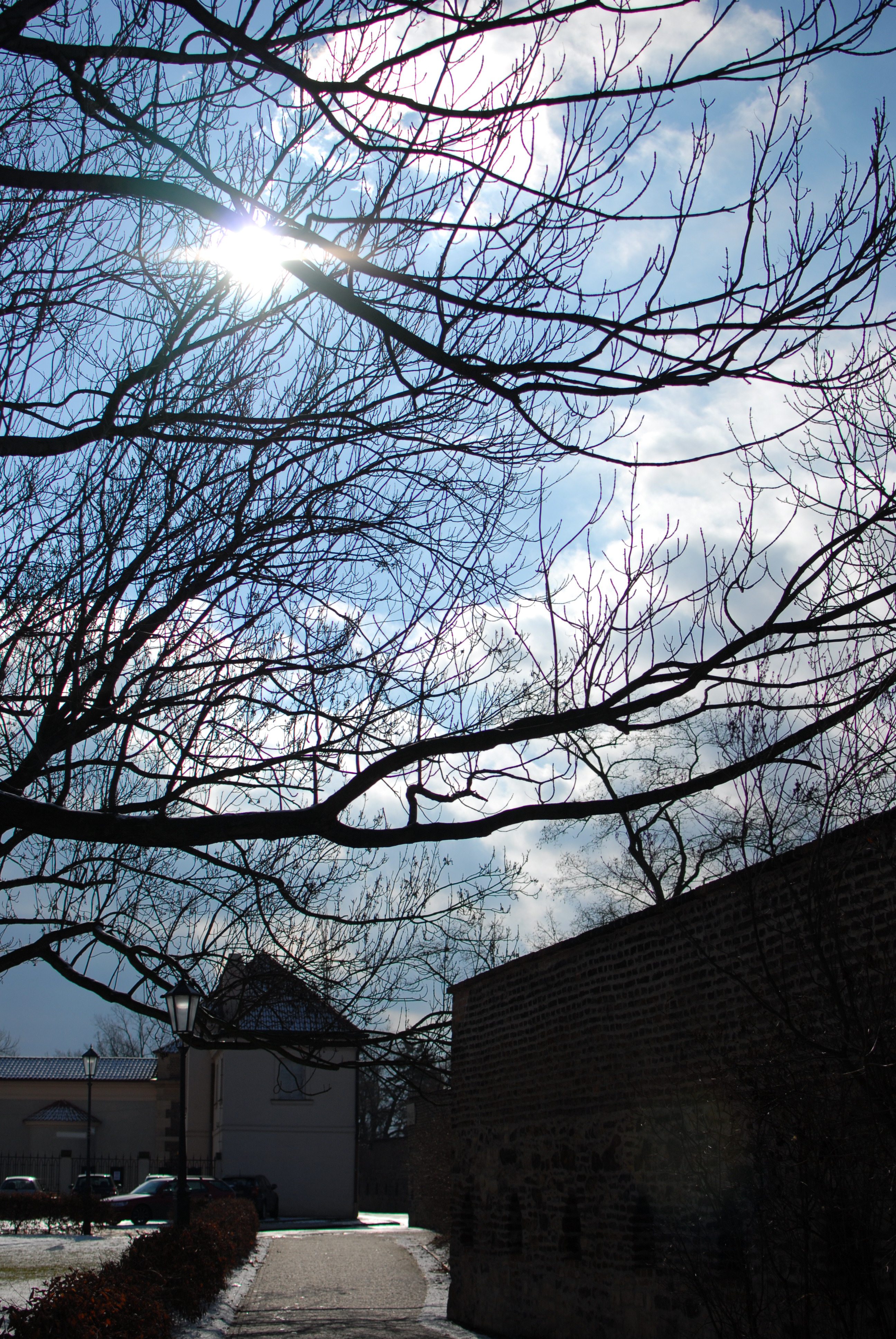 ͨ͸ ῵AF-S DX 35mm f/1.8Gʵ