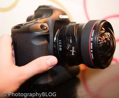  TS-E 17mm F4Lʵ