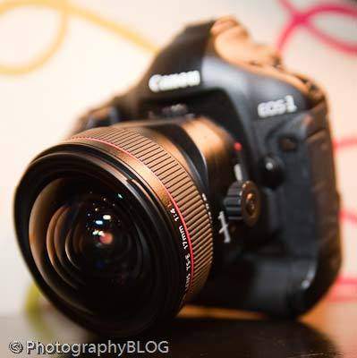  TS-E 17mm F4Lʵ