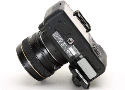 ŵ±ˣ EOS500D