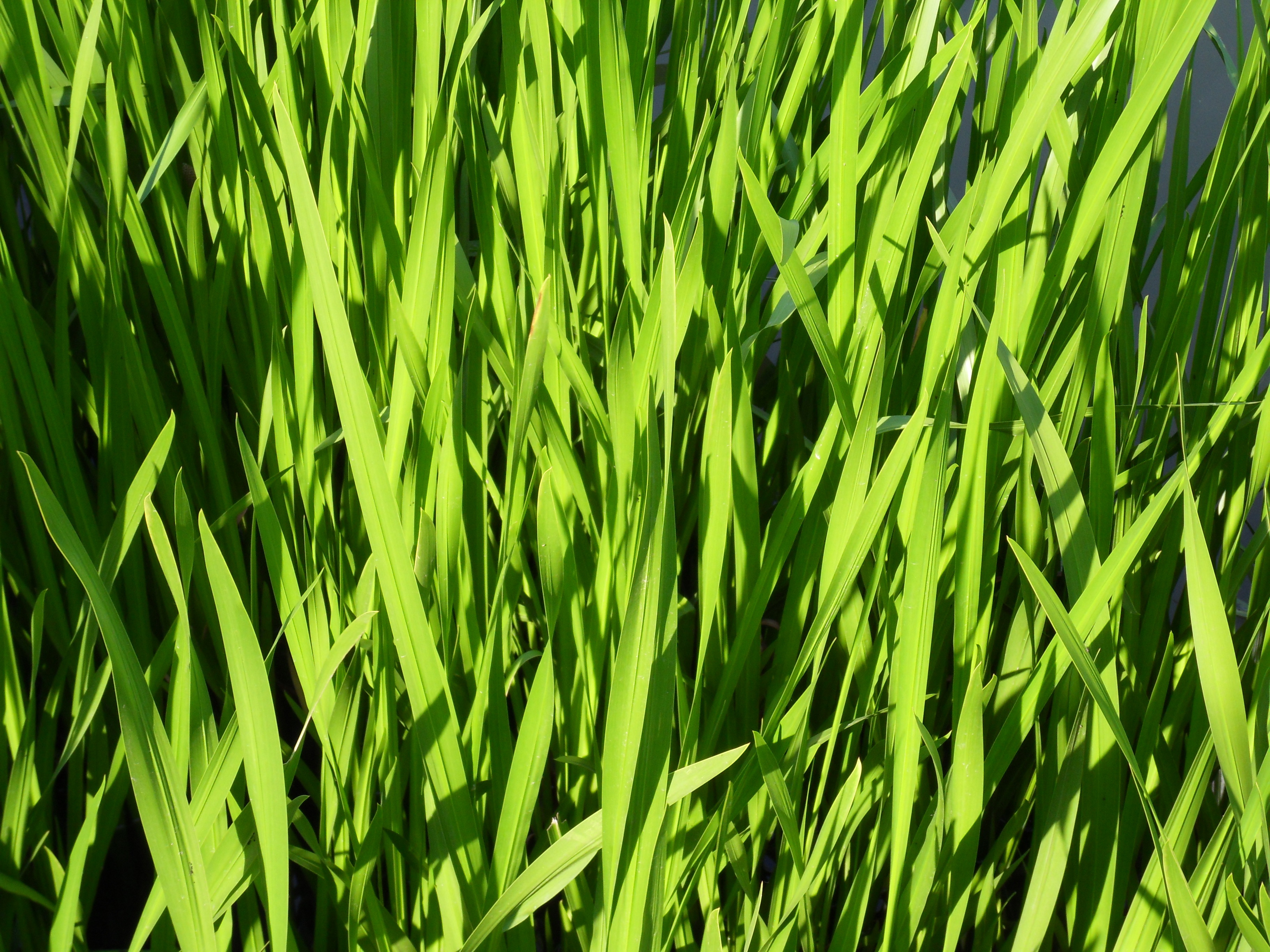 24mm10 WB500ʹø