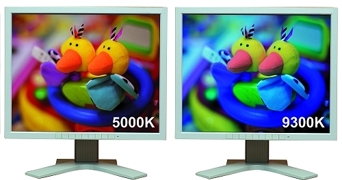 ҵƬֵɫ! ҵĻô?
