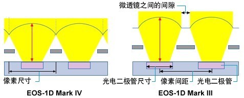 ߸УEOS1D MarkIV