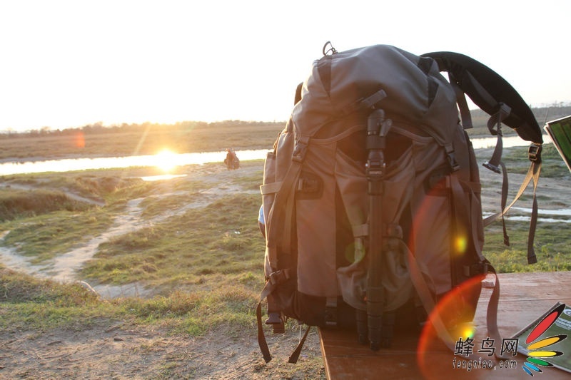 㱦PRO TREKKER AW 400Ჴʵ