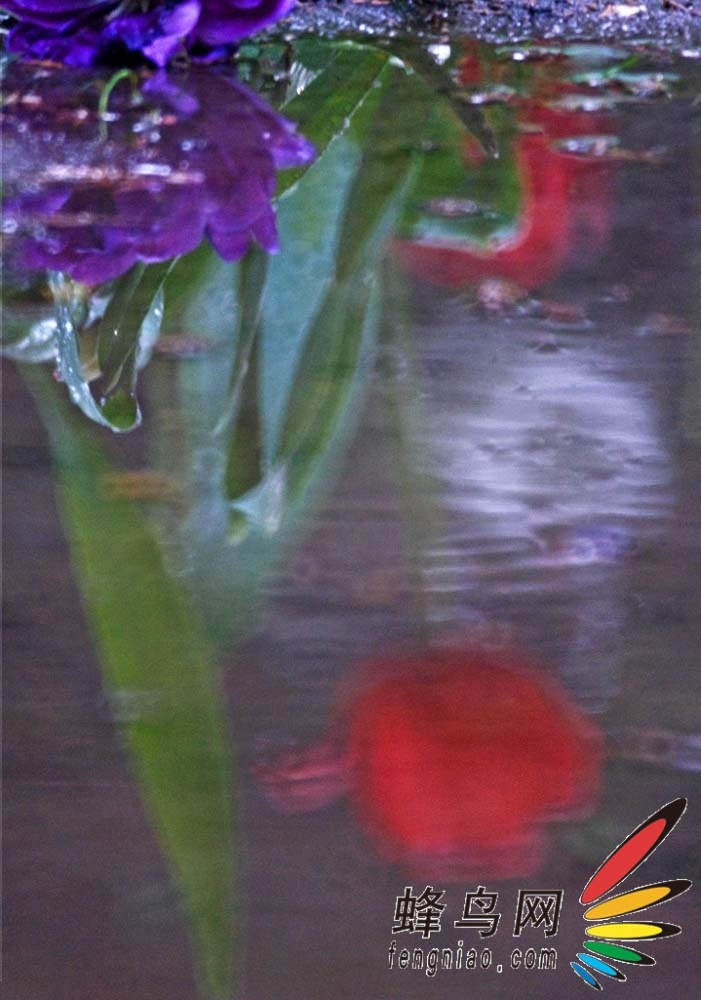 ͻ⡪ƽĻСؼ