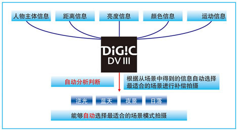 콢DV߷緶 ָHFS21