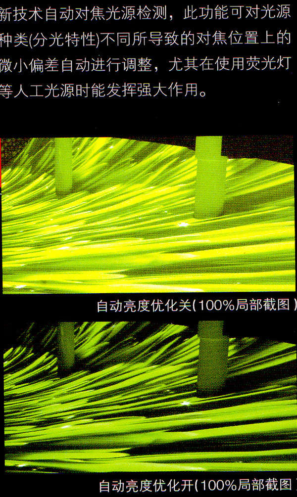 佳能平媒：EOS5Dmark2 高性能捕获世博绚烂夜景