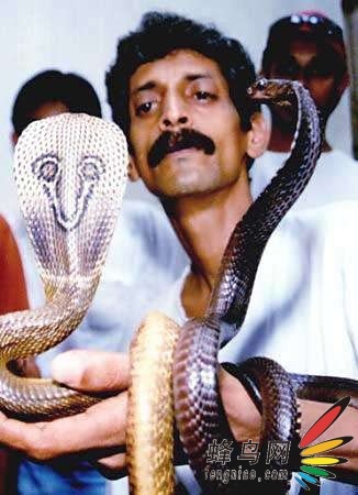 印度耍蛇人的神奇表演 