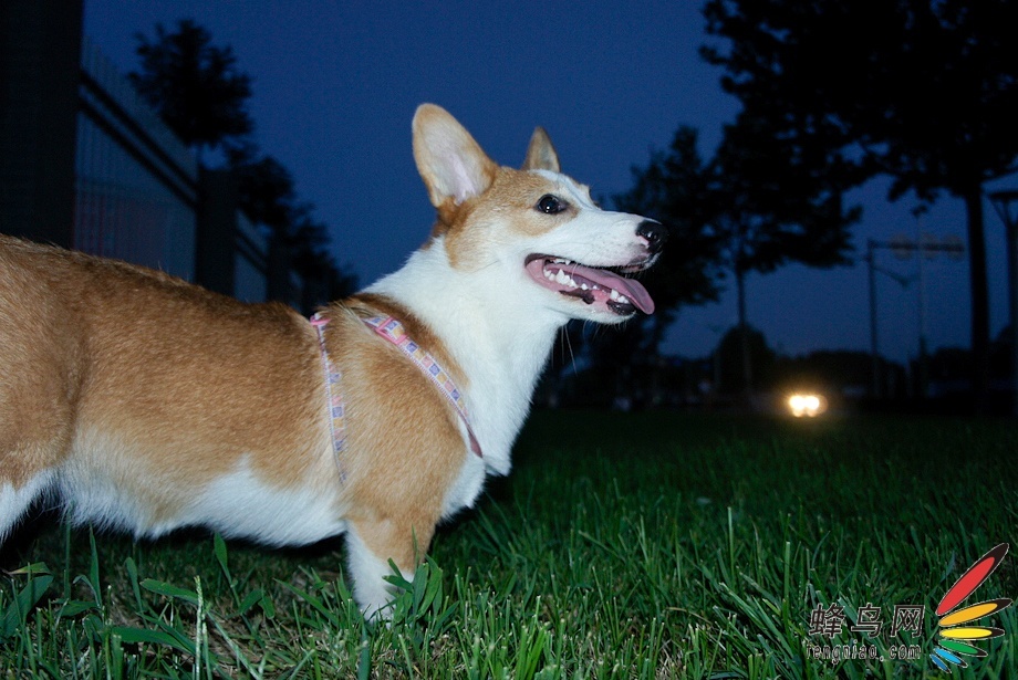 NEX-5C