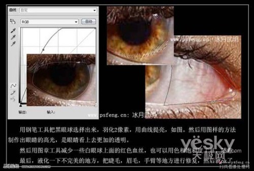 PhotoshopﾫϸĥƤǿʸ