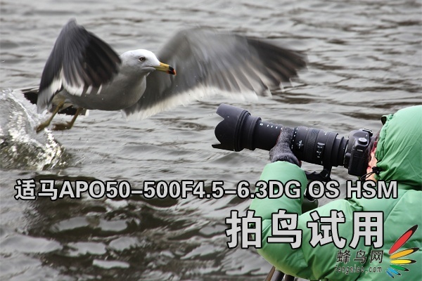 APO50-500F4.5-6.3DG OS HSM