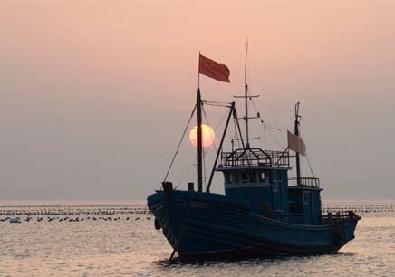 ѤĿ̻Nikon D7000ȫ