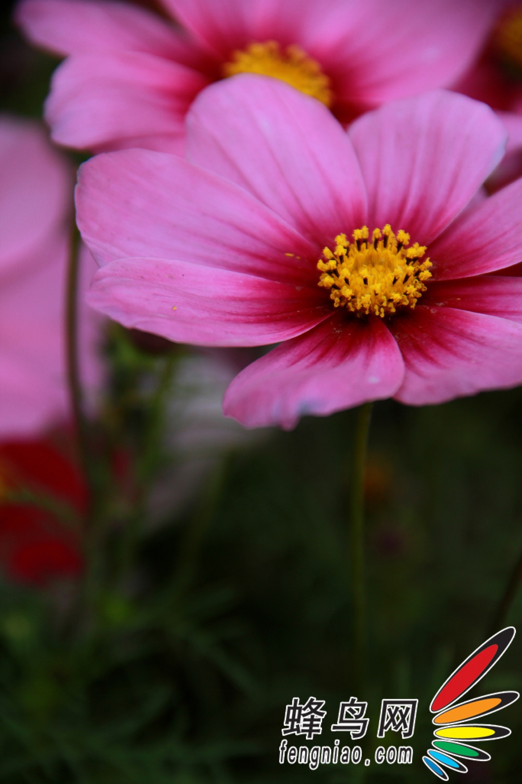 随性随拍的小家伙 使用EOS600D一日的体会