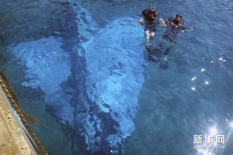 高清图：希腊潜水员打捞坠海幻影2000战机