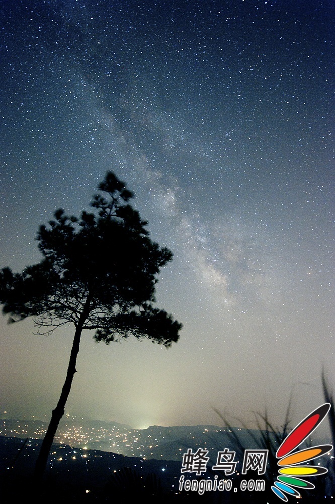 仲夏夜之梦幻星空系列之Star Trees 