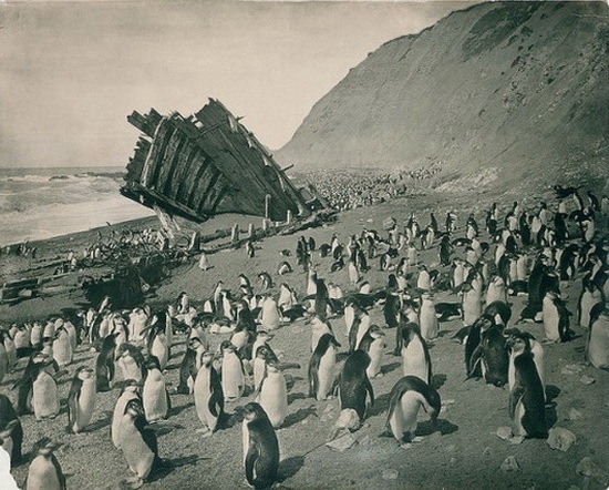 百年前的南极大陆绝密照