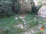 ܷһSXϵPowerShot SX40 HS