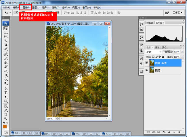 Photoshop快速给树林图片增加艳丽的秋季色