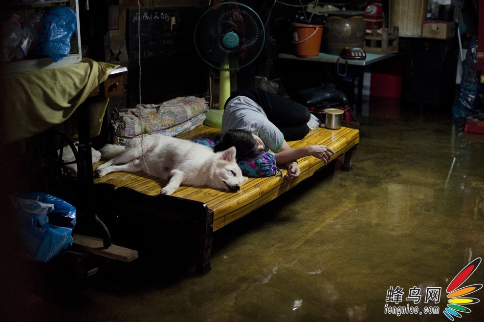 与鳄鱼、蛇虫同进退：洪灾中的曼谷居民