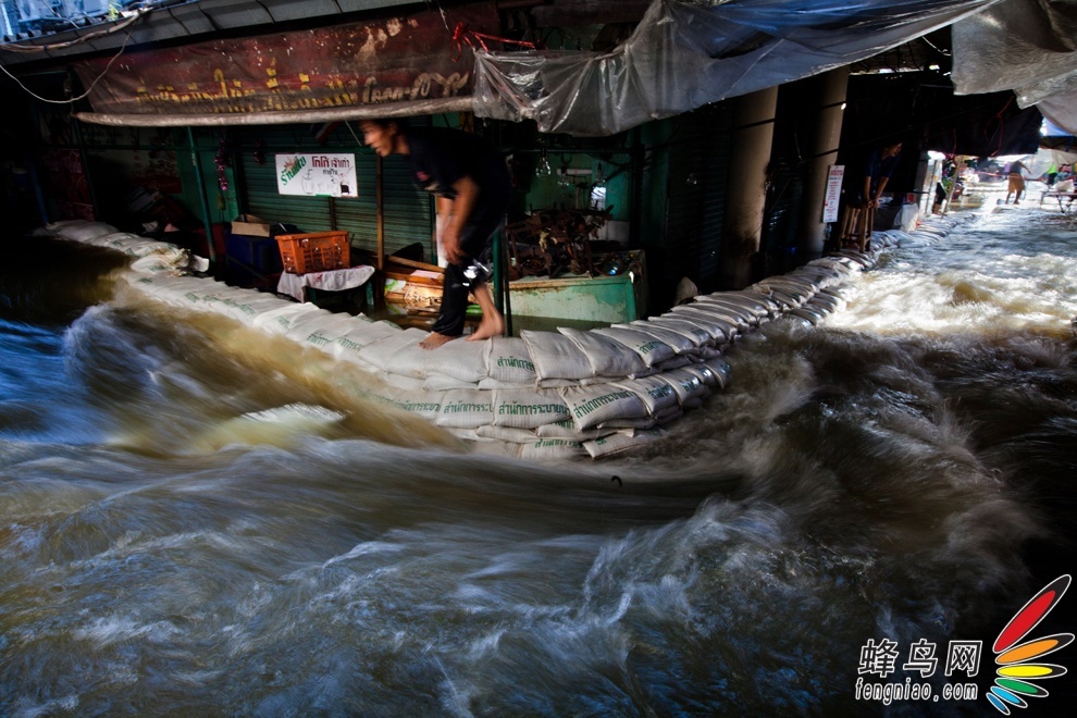 与鳄鱼、蛇虫同进退：洪灾中的曼谷居民