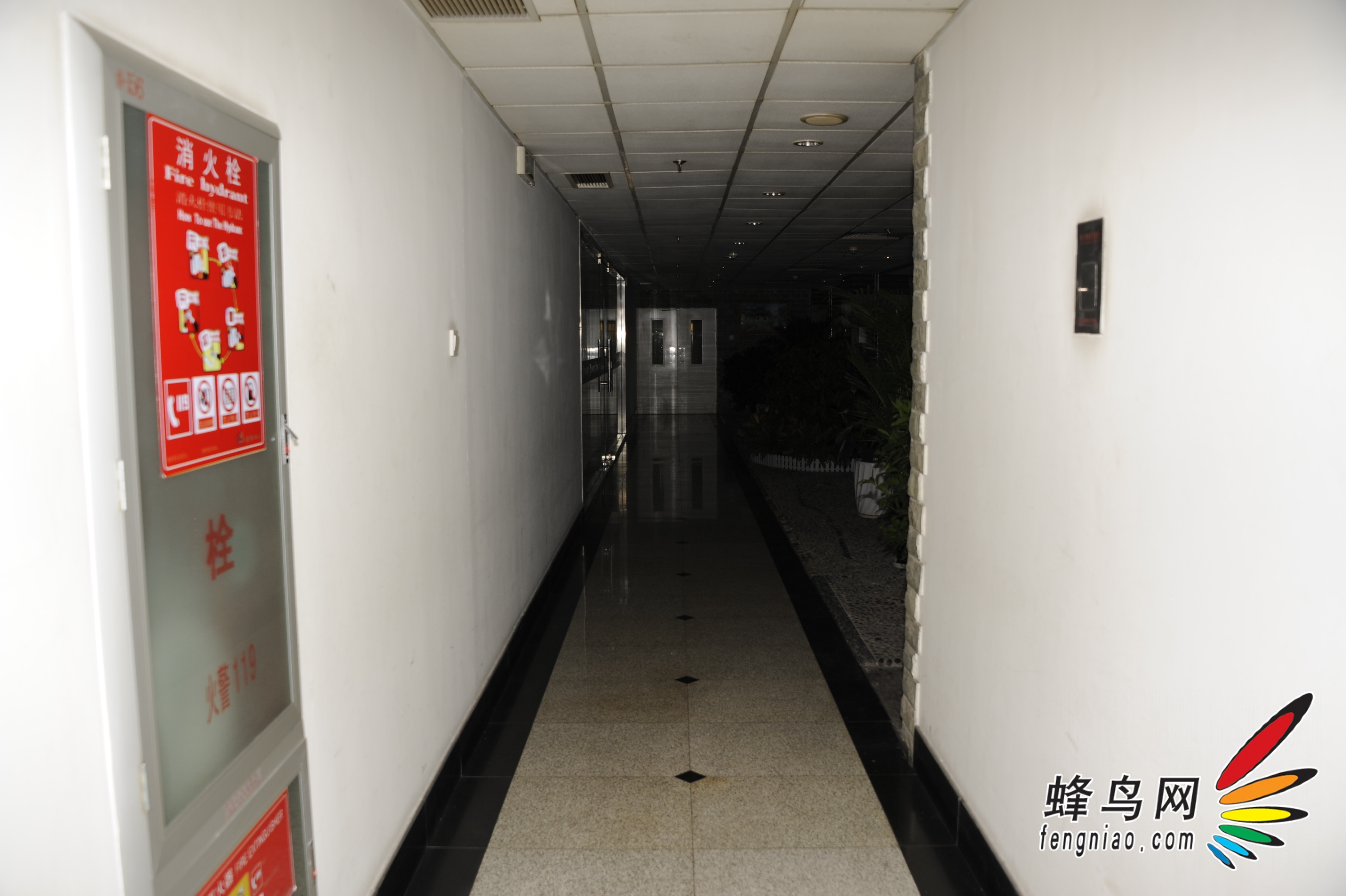 ָTTL ŵYN565EX(῵)