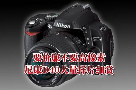 ȵѶ ֮ ῵D40 