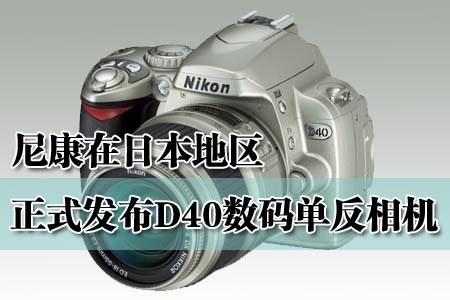 ȵѶ ֮ ῵D40 