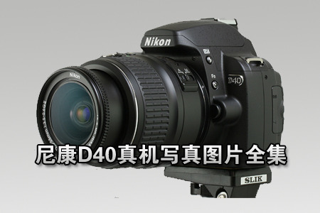 ῵D40ͼƬд漯 